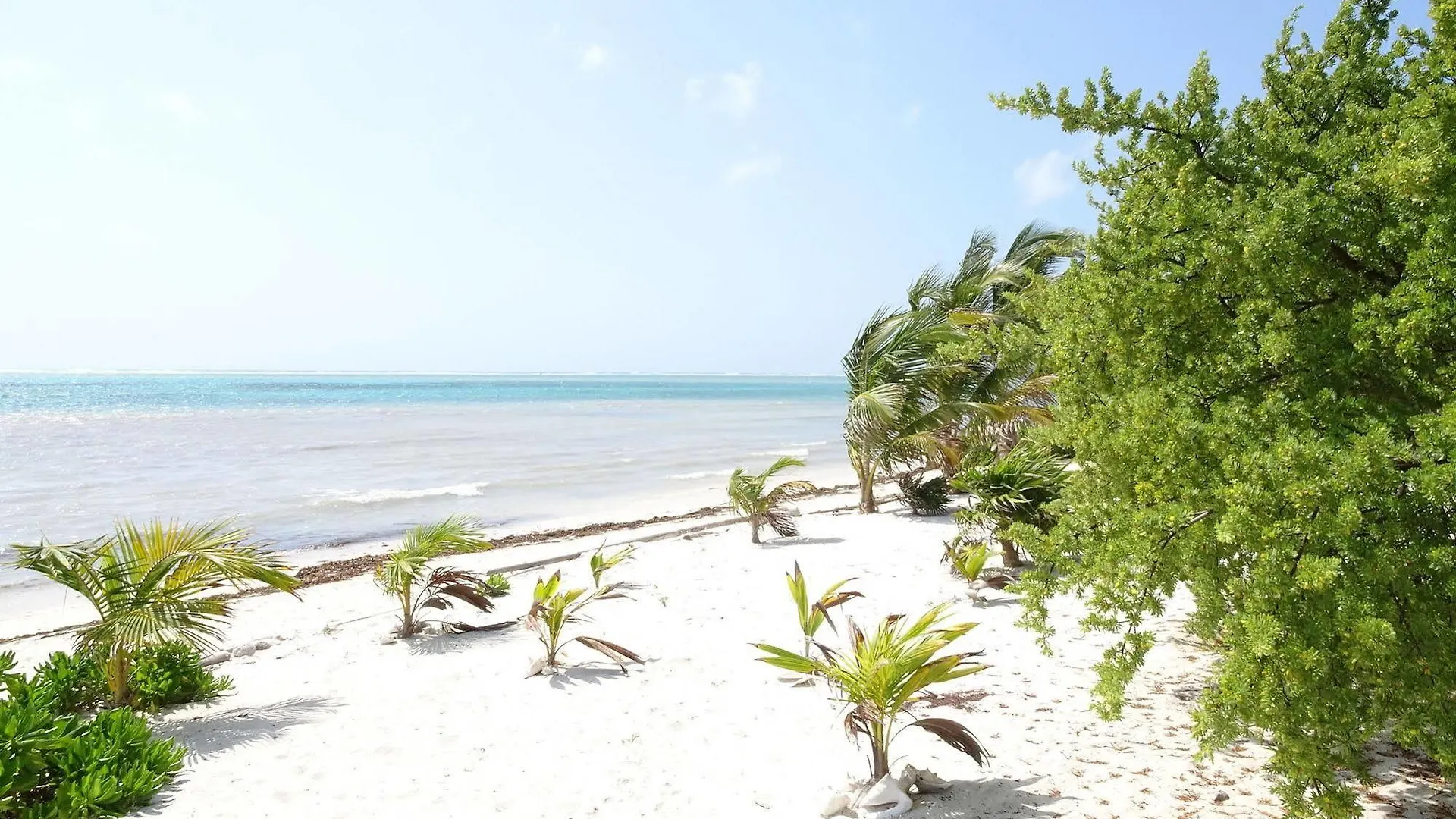 Βίλα La Salamandra Puerto Aventuras